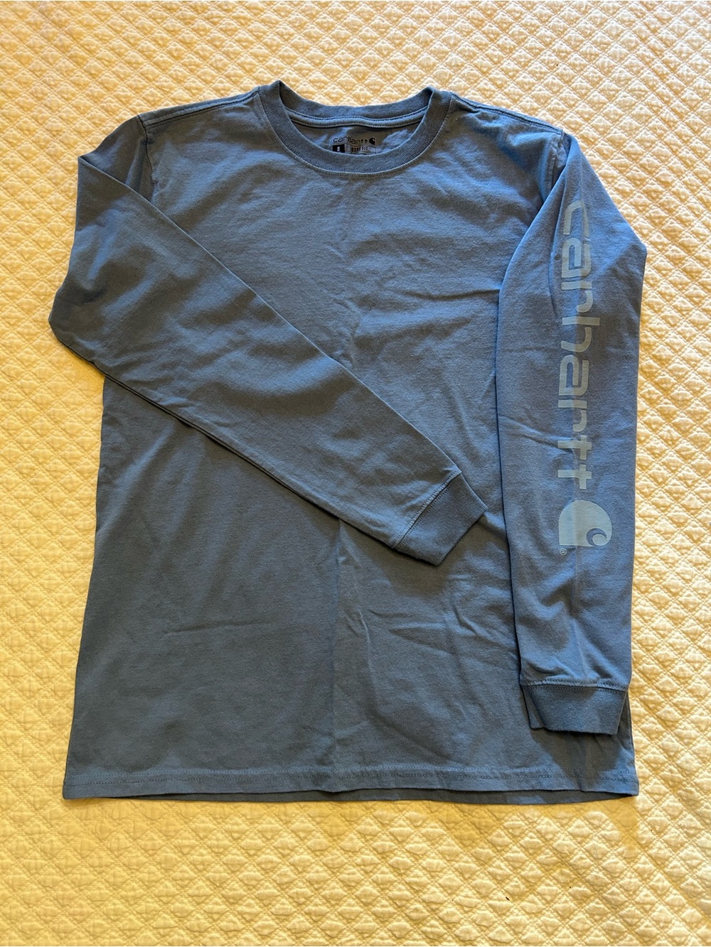 Carhartt Long-Sleeve Logo Tee in Slate Blue